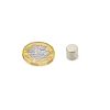 8mm dia x 8mm thick N42 Neodymium Magnet - 2.5kg Pull