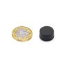 16.4mm dia x 9.3mm thick Rubber Coated N42 Neodymium Magnet - 5.9kg Pull